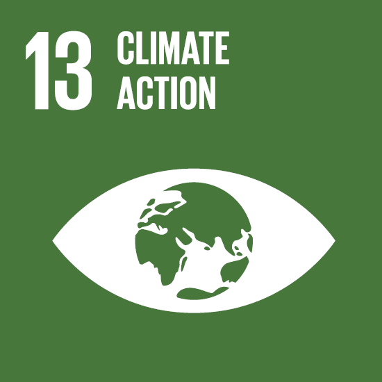 SDG_Icons_EN_13