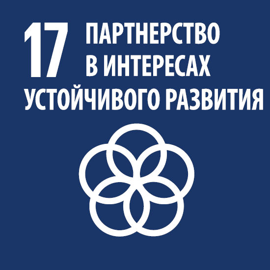 SDG_Icons_RUS_17