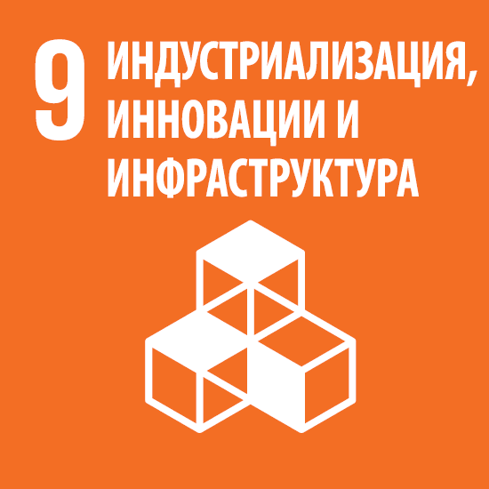 SDG_Icons_RUS_9